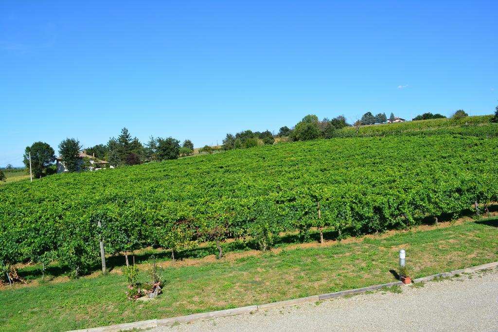 Le Stanze Di Bacco Villa Monteveglio Exterior foto