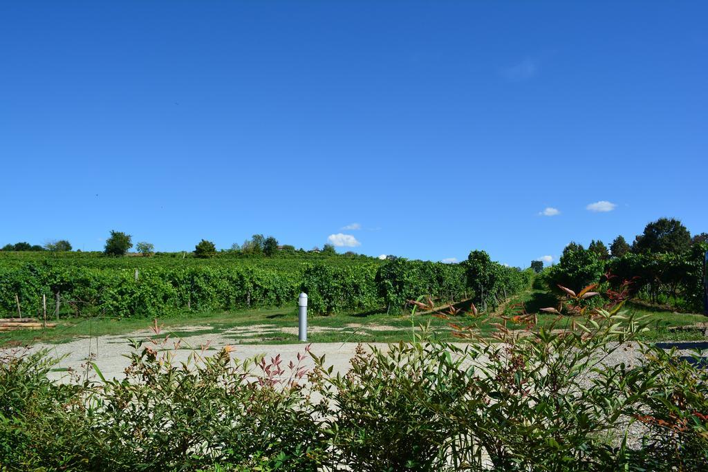 Le Stanze Di Bacco Villa Monteveglio Exterior foto