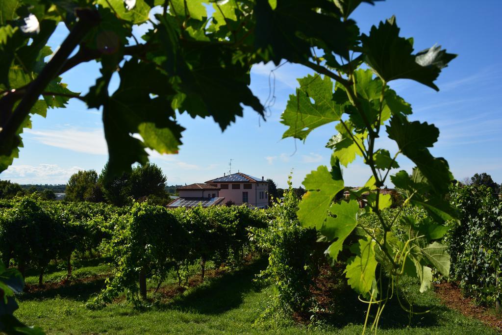 Le Stanze Di Bacco Villa Monteveglio Exterior foto