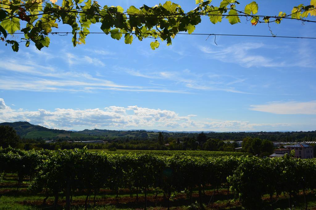 Le Stanze Di Bacco Villa Monteveglio Exterior foto